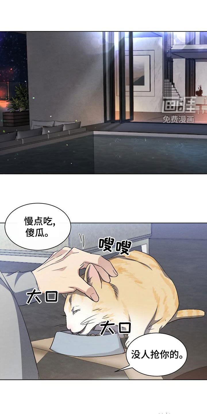 危险重逢第48话图