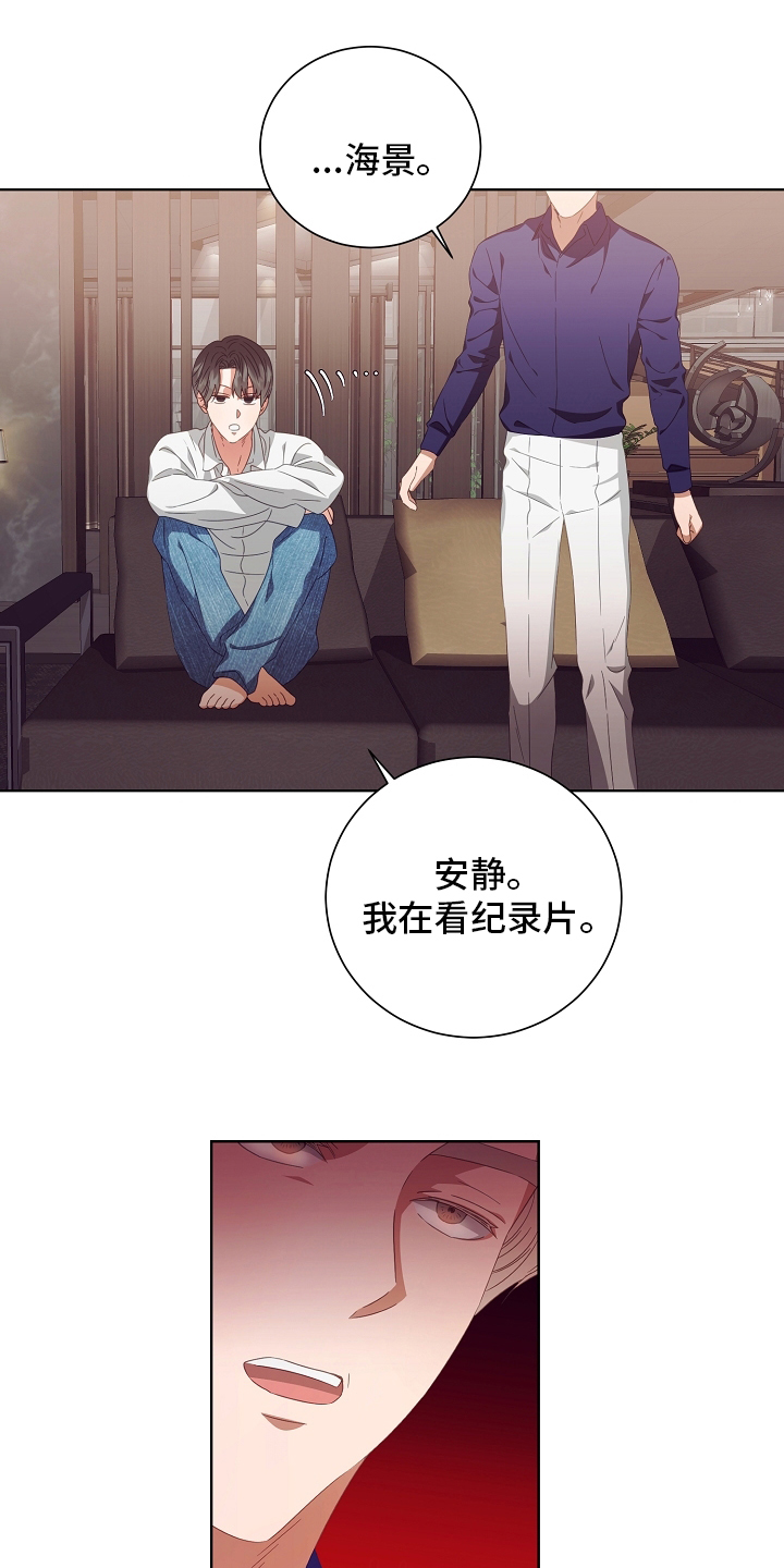 完美契合第35话图