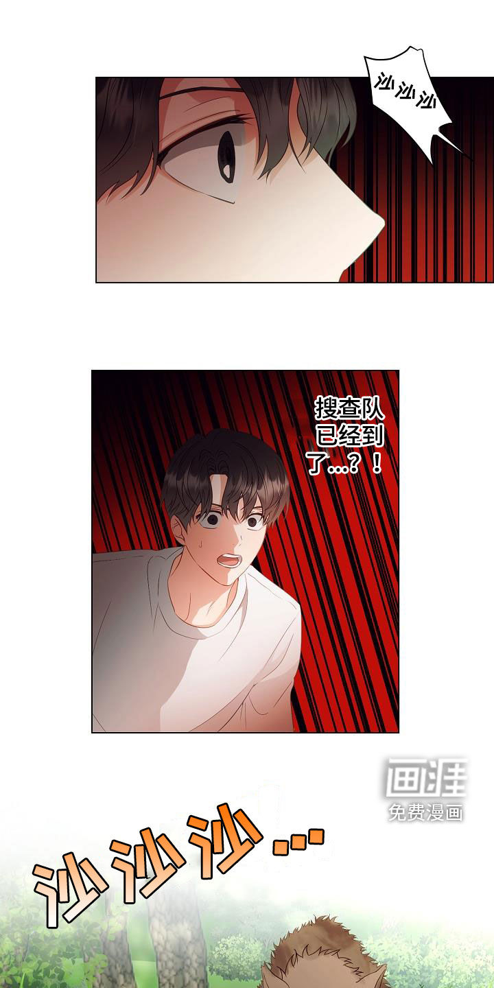 完美契合第46话图