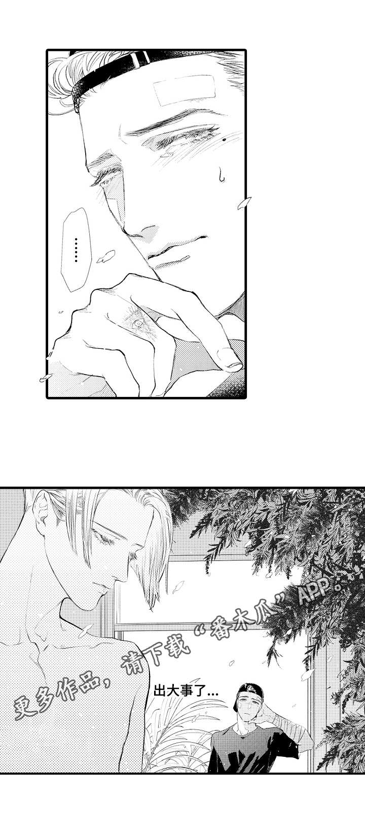 完美的作品第11话图