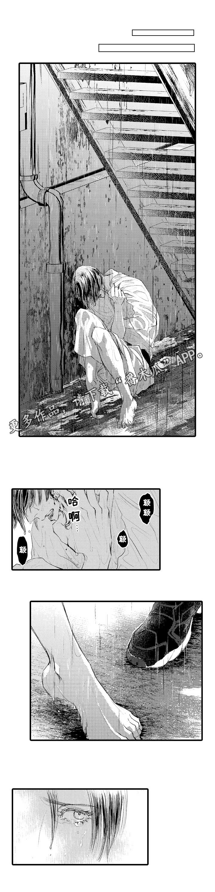 完美的作品第16话图