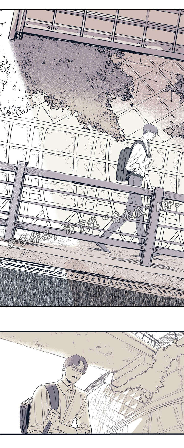 无处放置第19话图