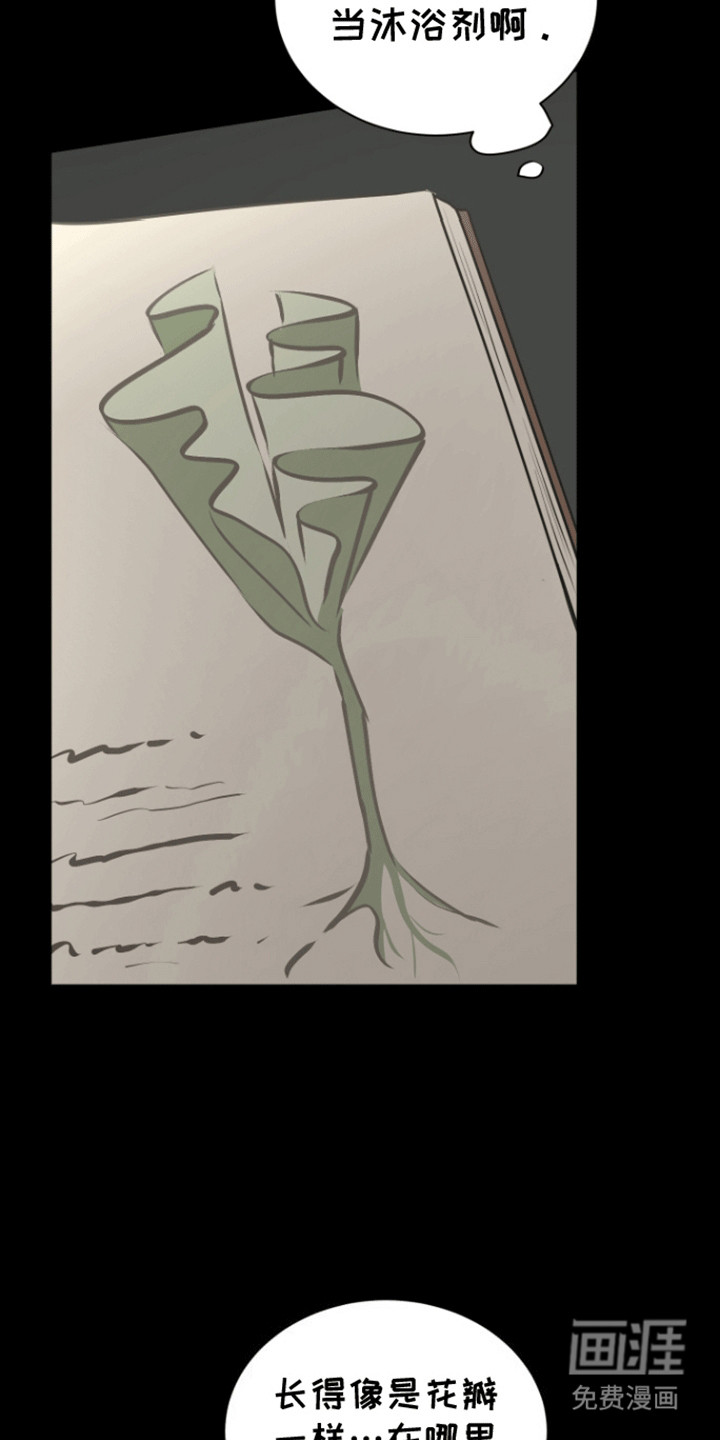 无名的花第19话图