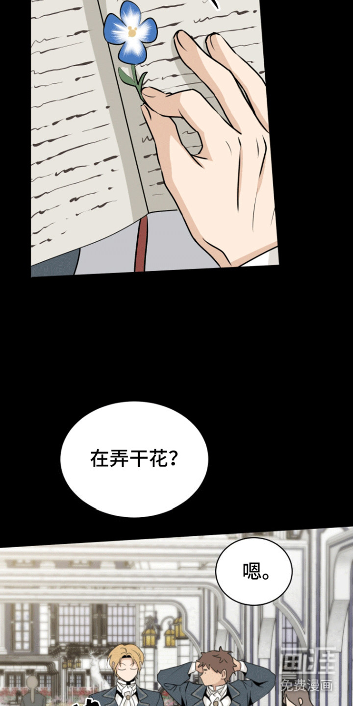 无名的花第20话图