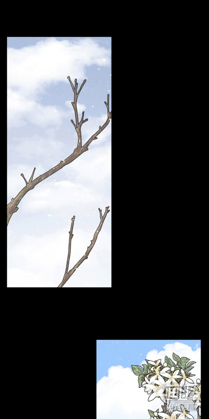 无名的花第21话图