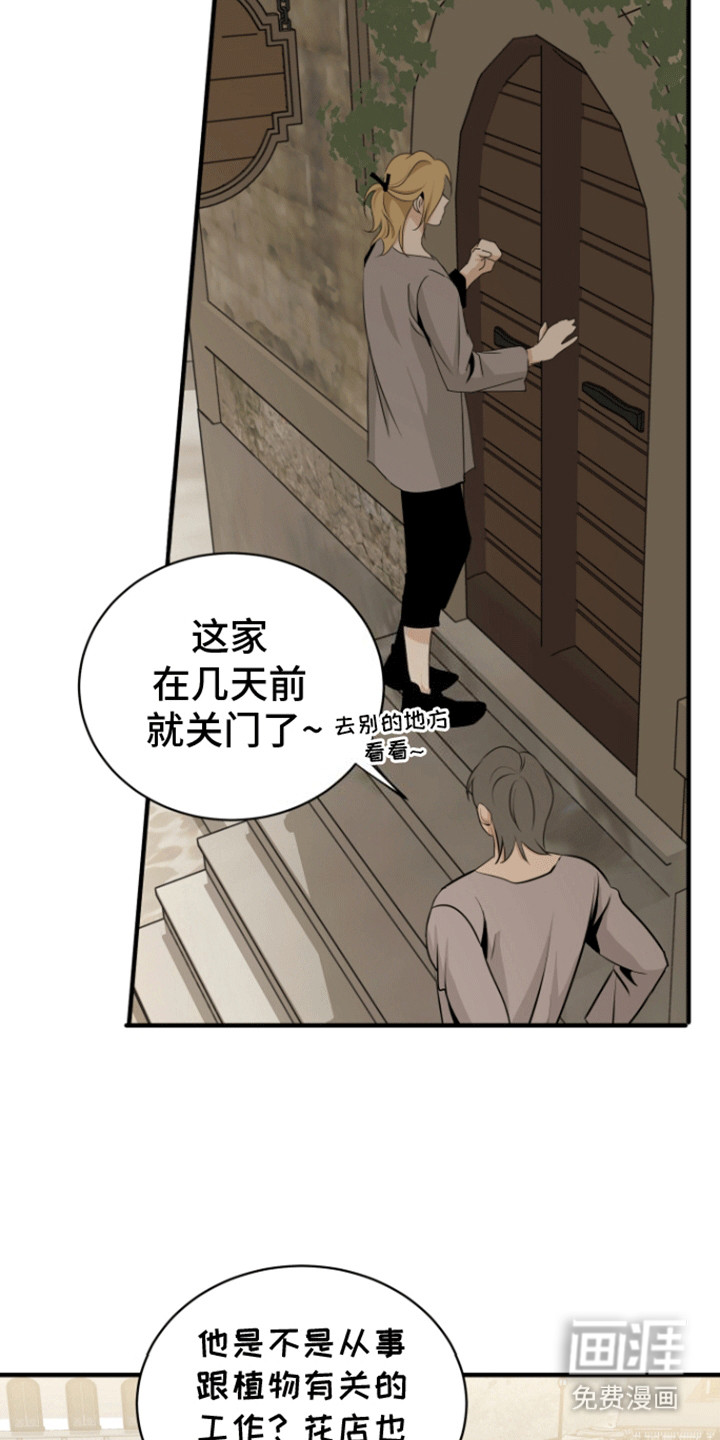 无名的花第25话图