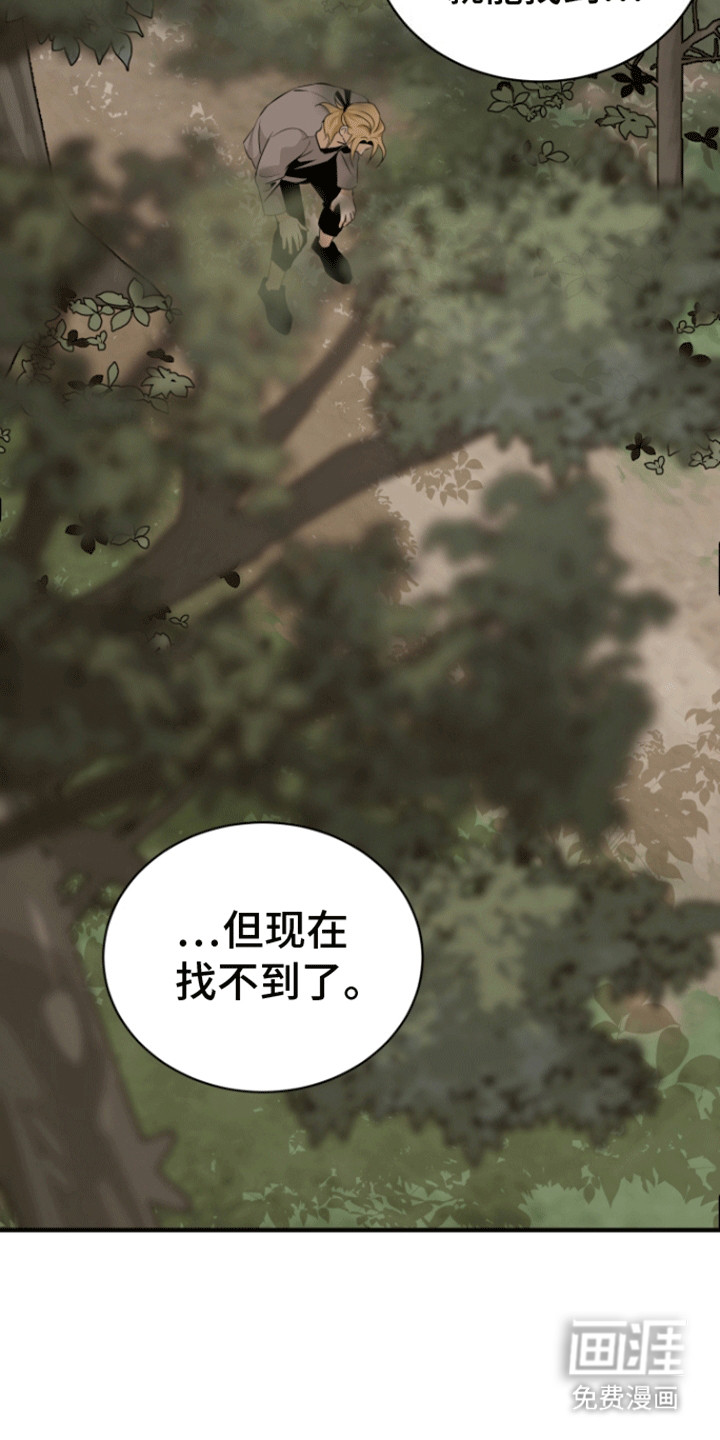 无名的花第25话图