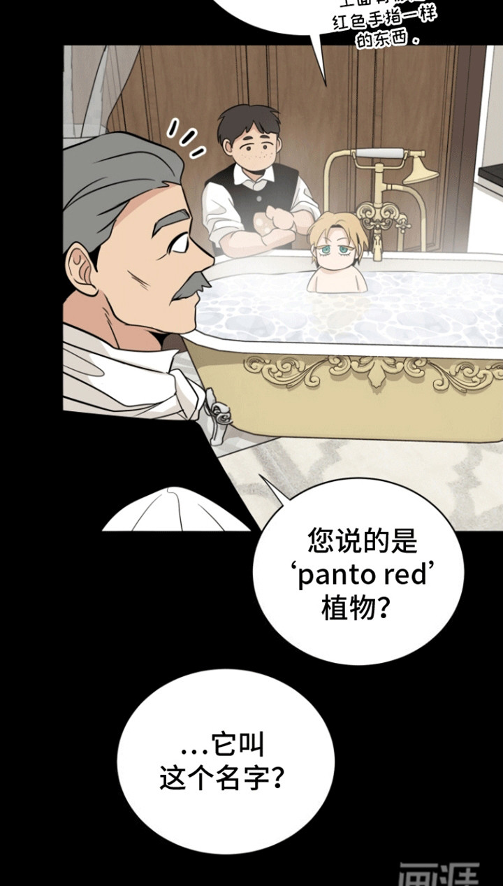 无名的花第5话图