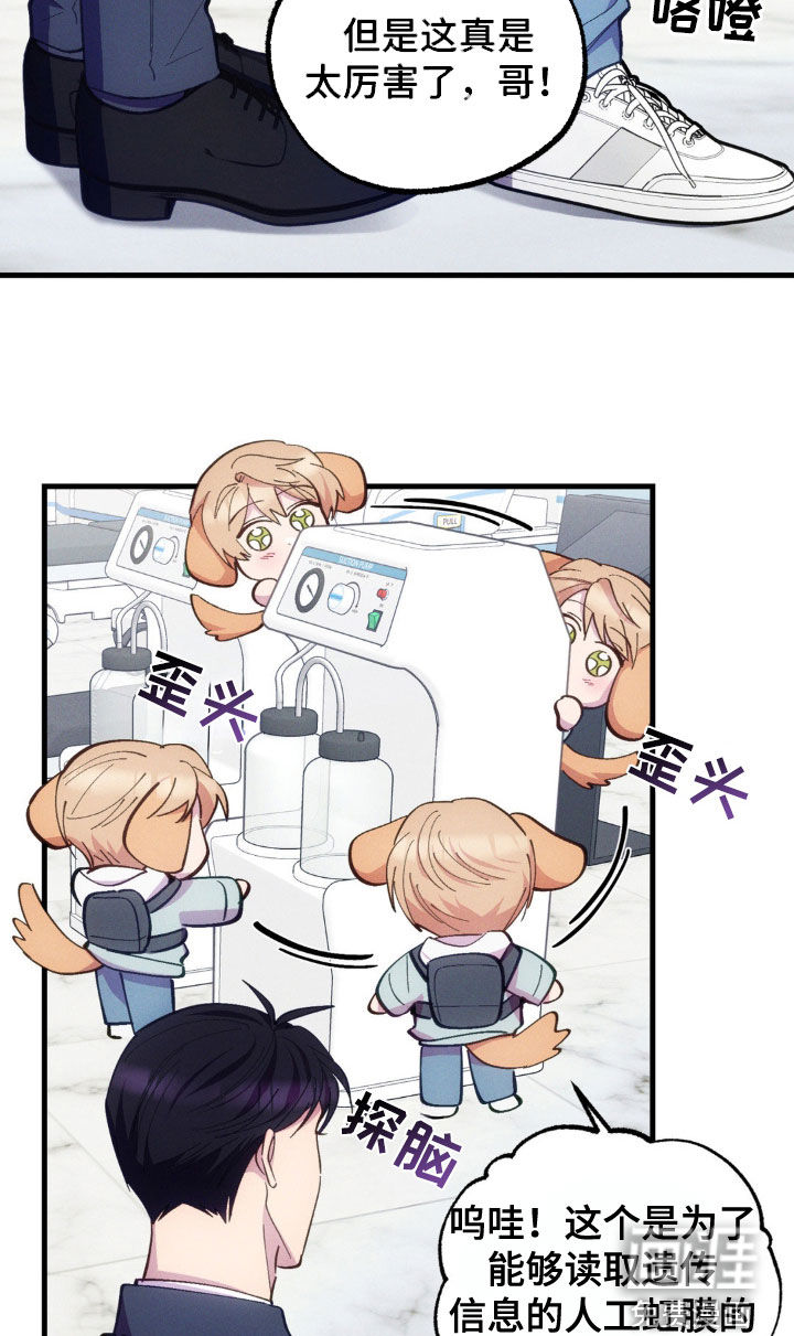 我想要孩子第30话图