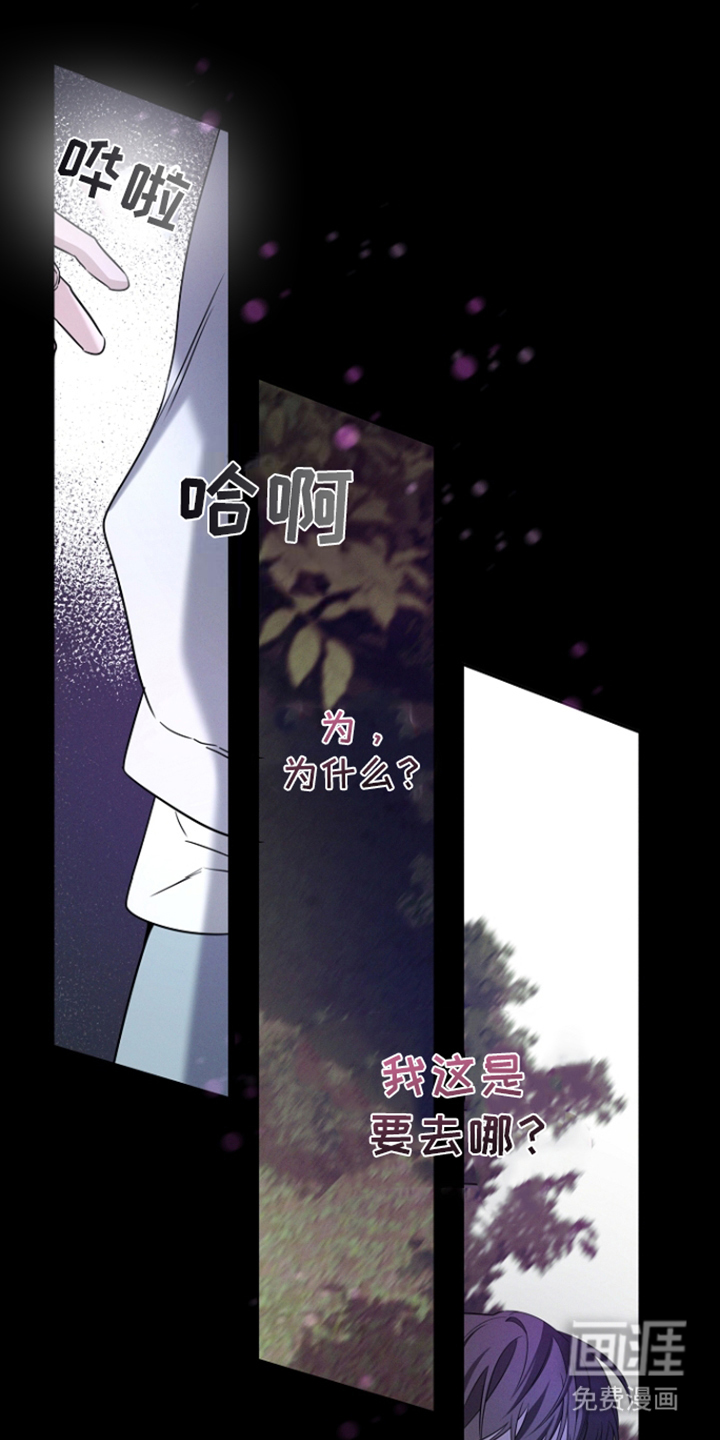 无痕之夜第16话图