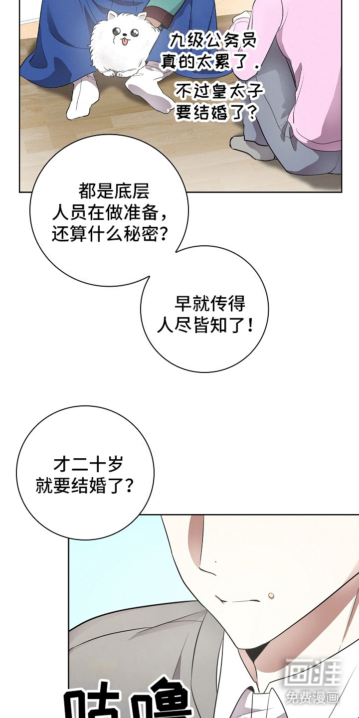 我的太子妃第1话图