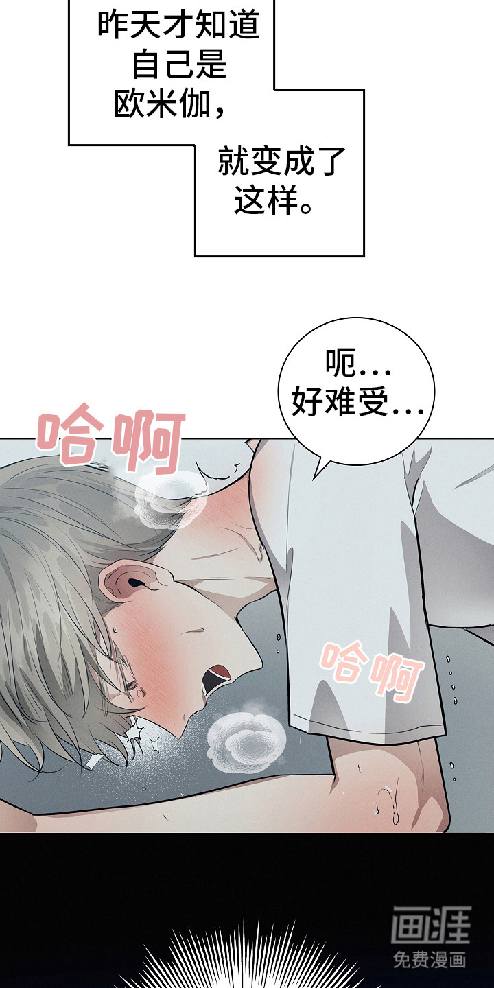 我的太子妃第13话图