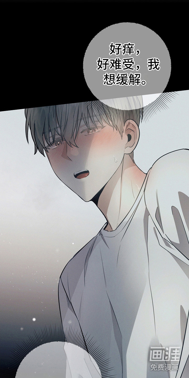 我的太子妃第13话图