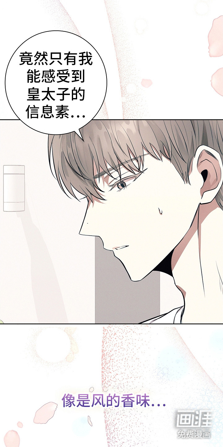 我的太子妃 第15话 第9页