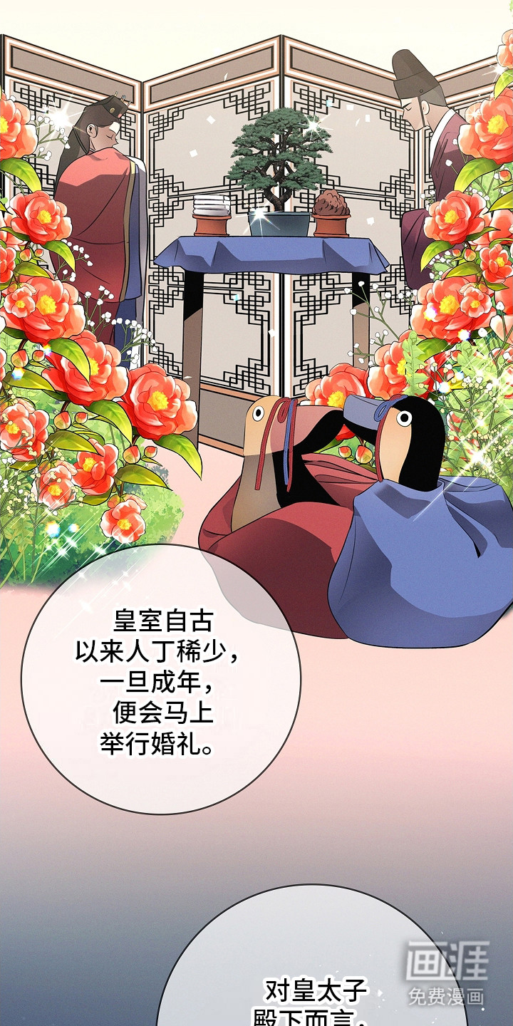 我的太子妃第19话图