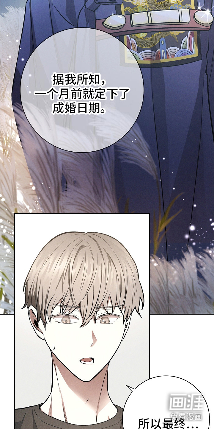 我的太子妃第19话图