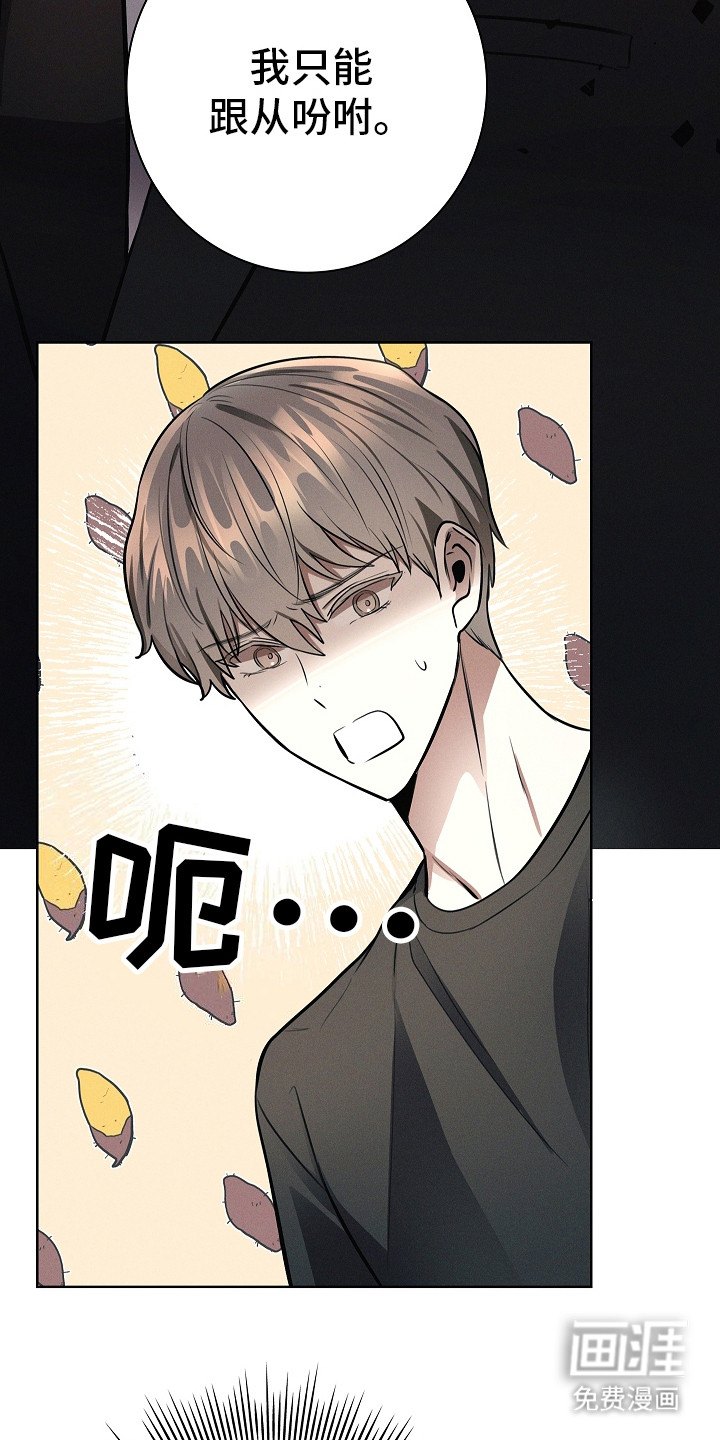 我的太子妃 第20话 第1页