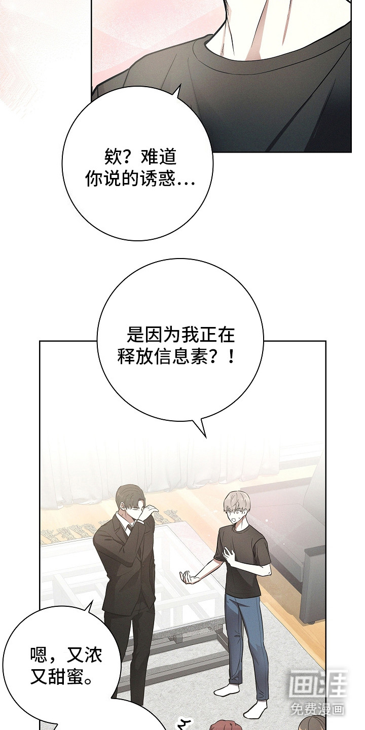 我的太子妃第20话图