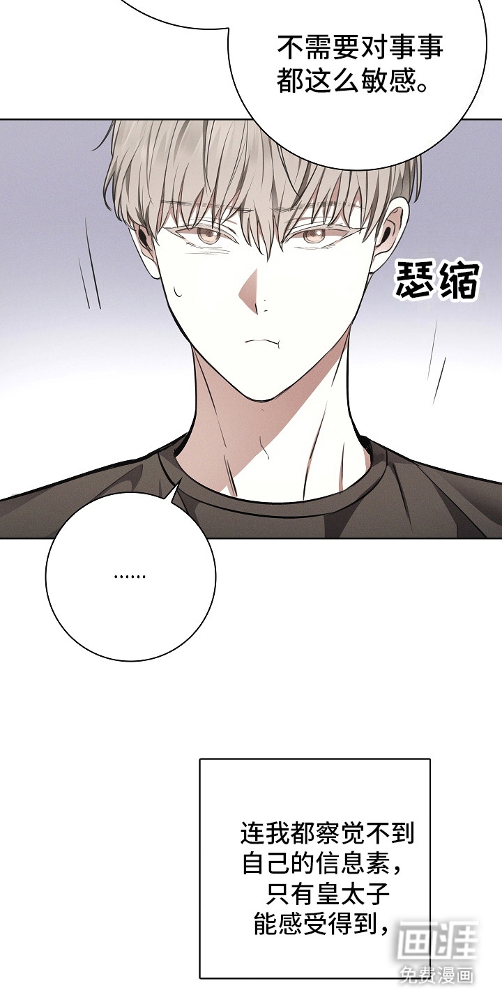 我的太子妃第23话图