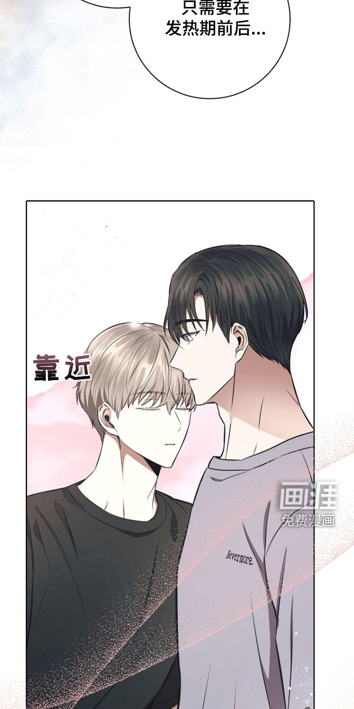 我的太子妃第25话图