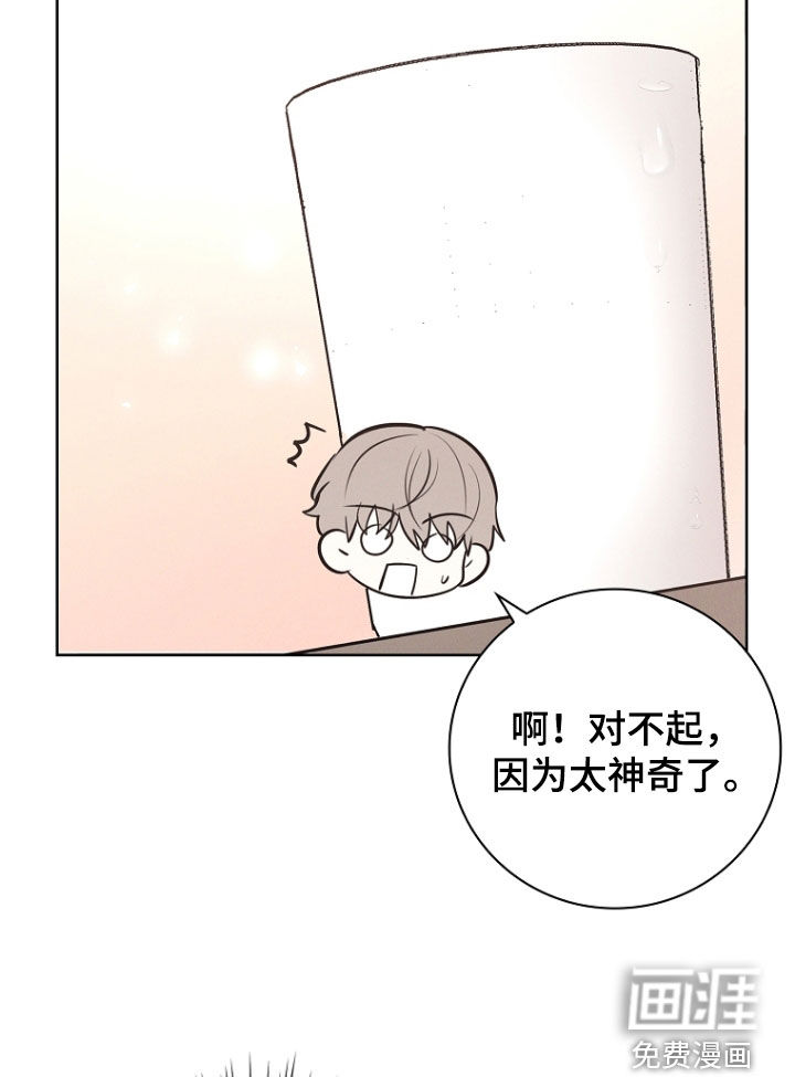 我的太子妃第25话图