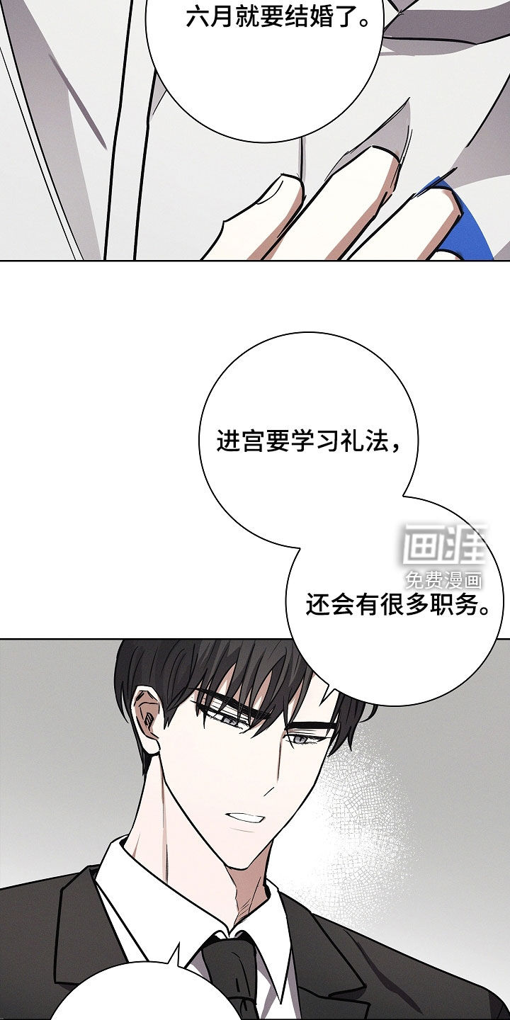 我的太子妃第29话图