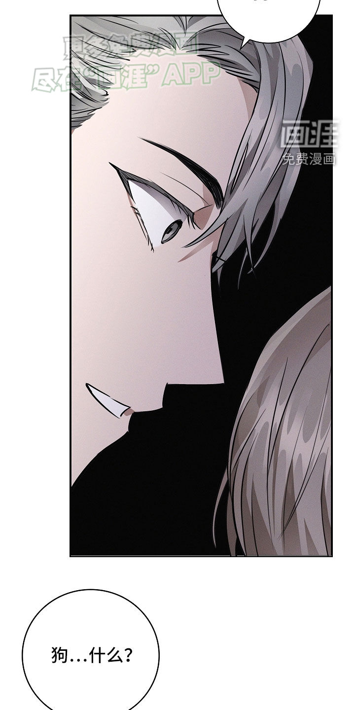 我的太子妃第34话图