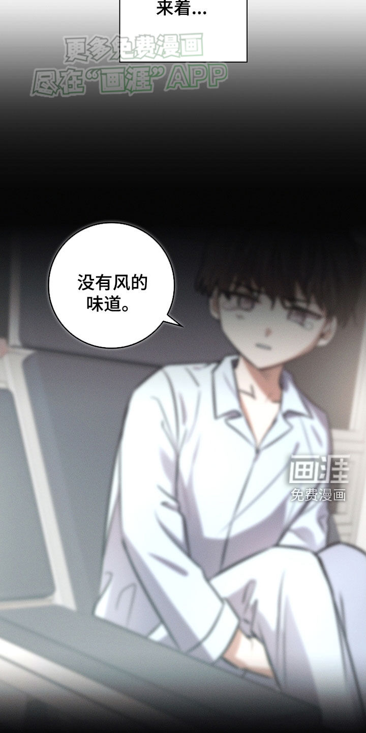 我的太子妃第37话图