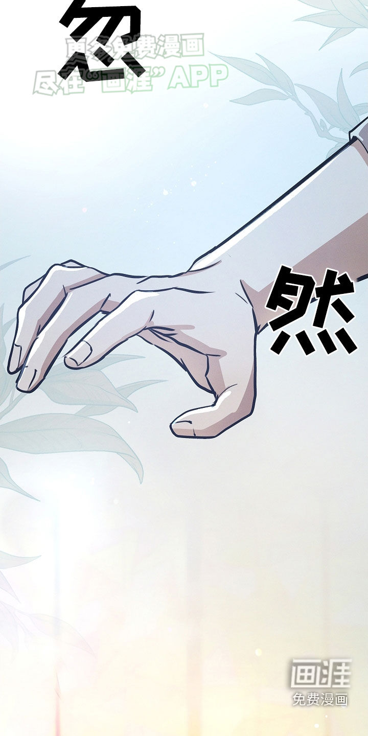 我的太子妃第37话图