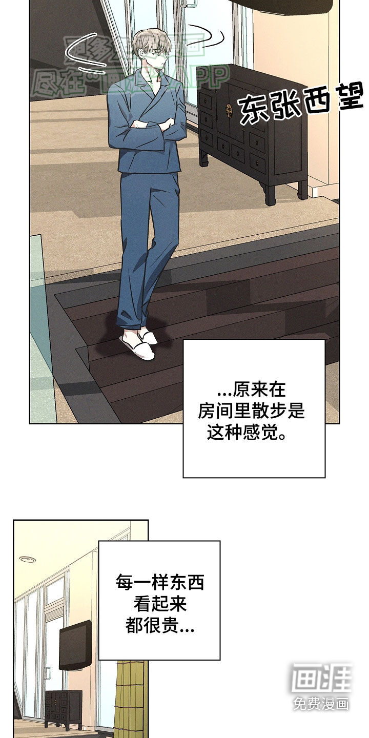 我的太子妃第39话图