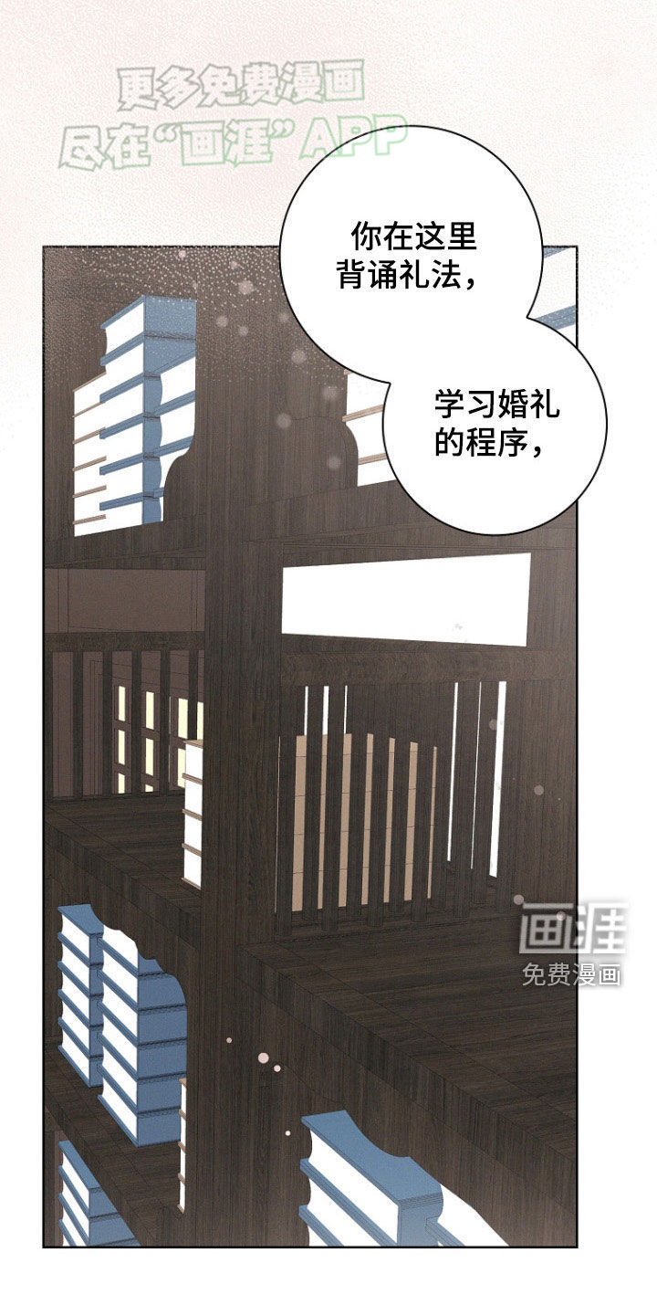 我的太子妃 第41话 第0页