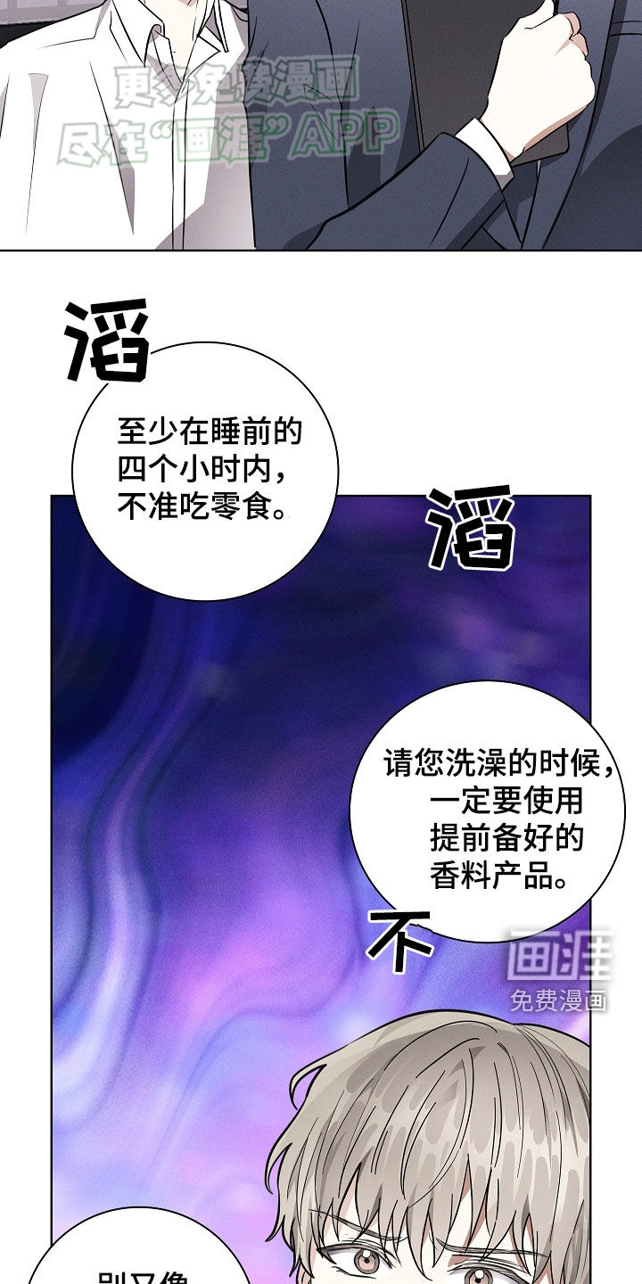 我的太子妃第42话图