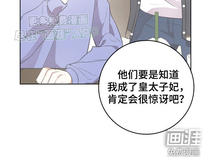 我的太子妃第42话图