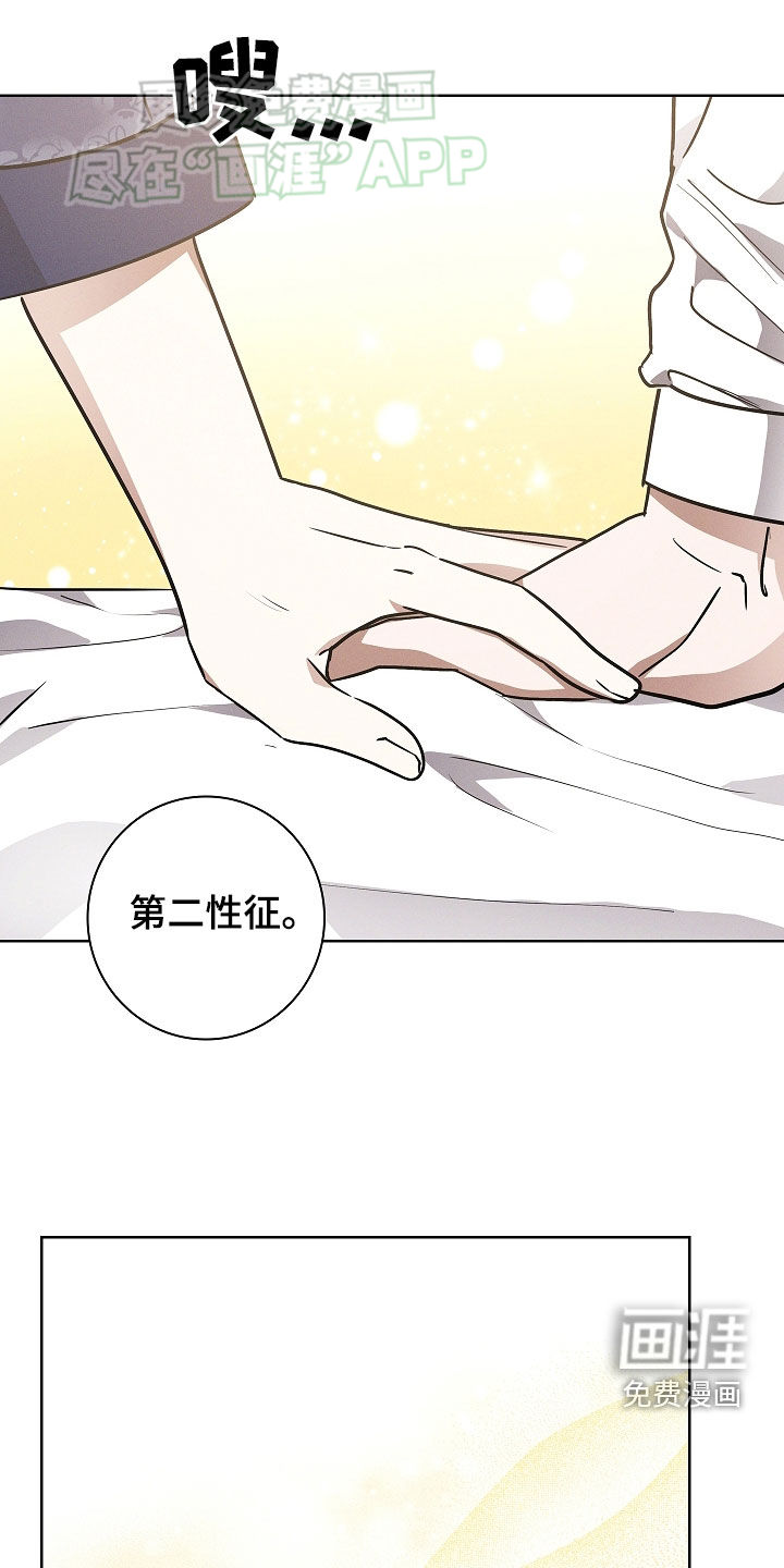 我的太子妃第43话图