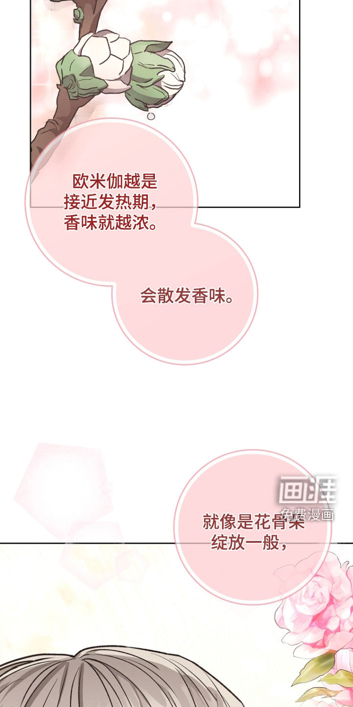 我的太子妃 第50话 第13页