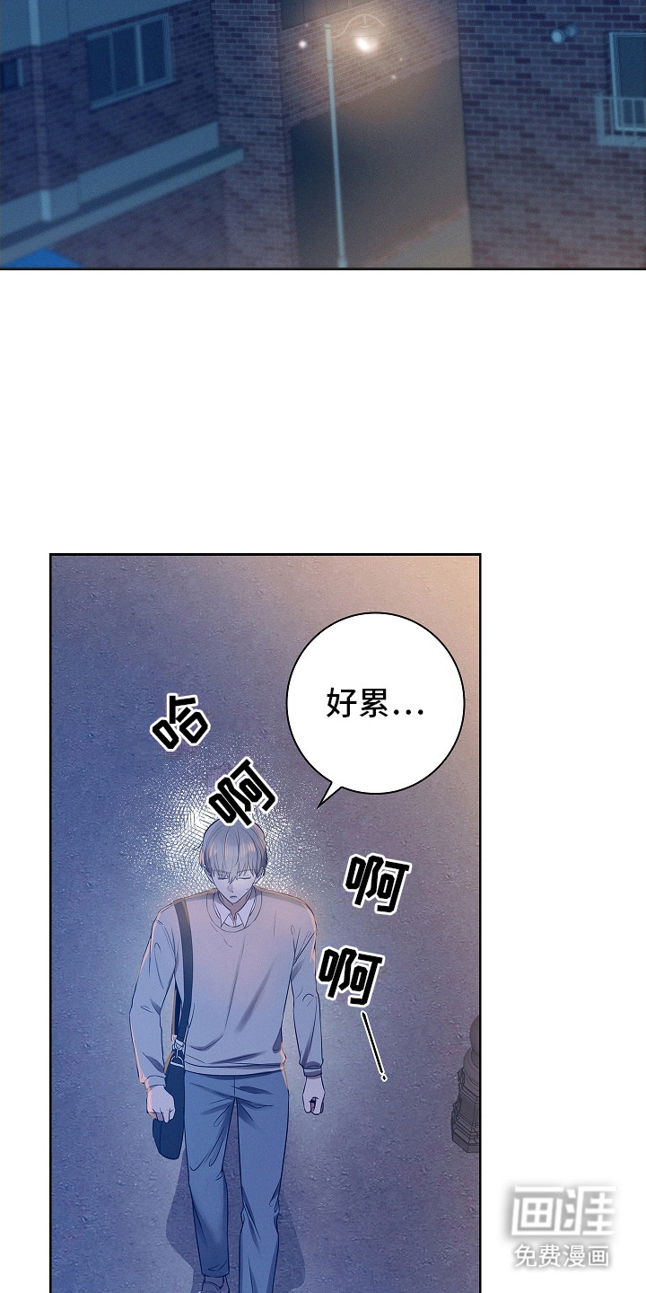 我的太子妃第6话图