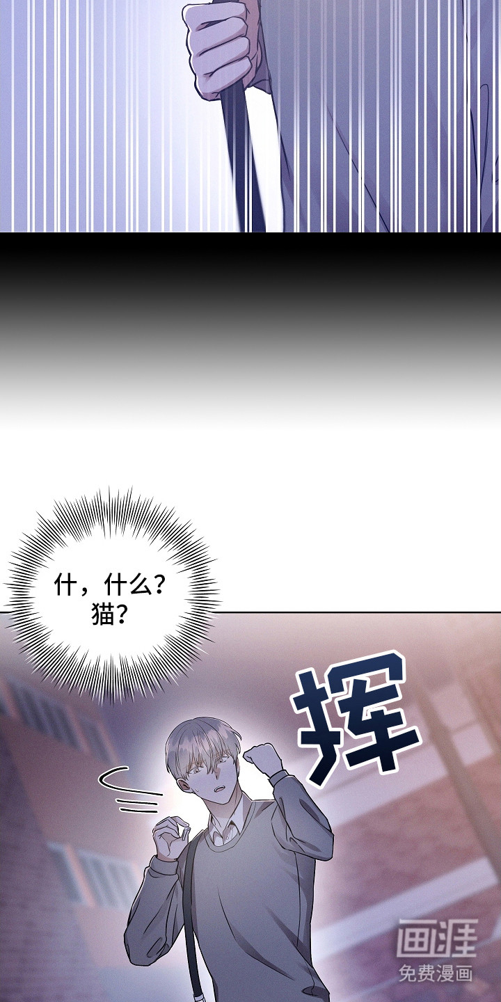 我的太子妃第6话图