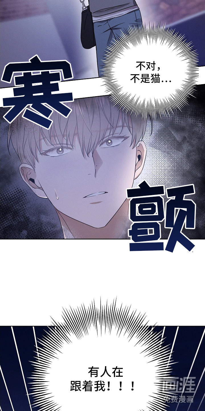 我的太子妃第6话图