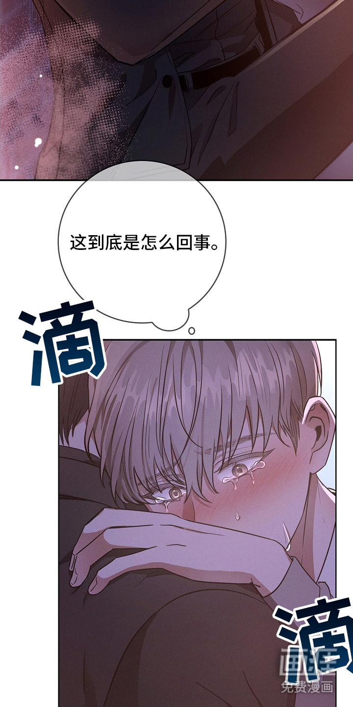 我的太子妃第8话图