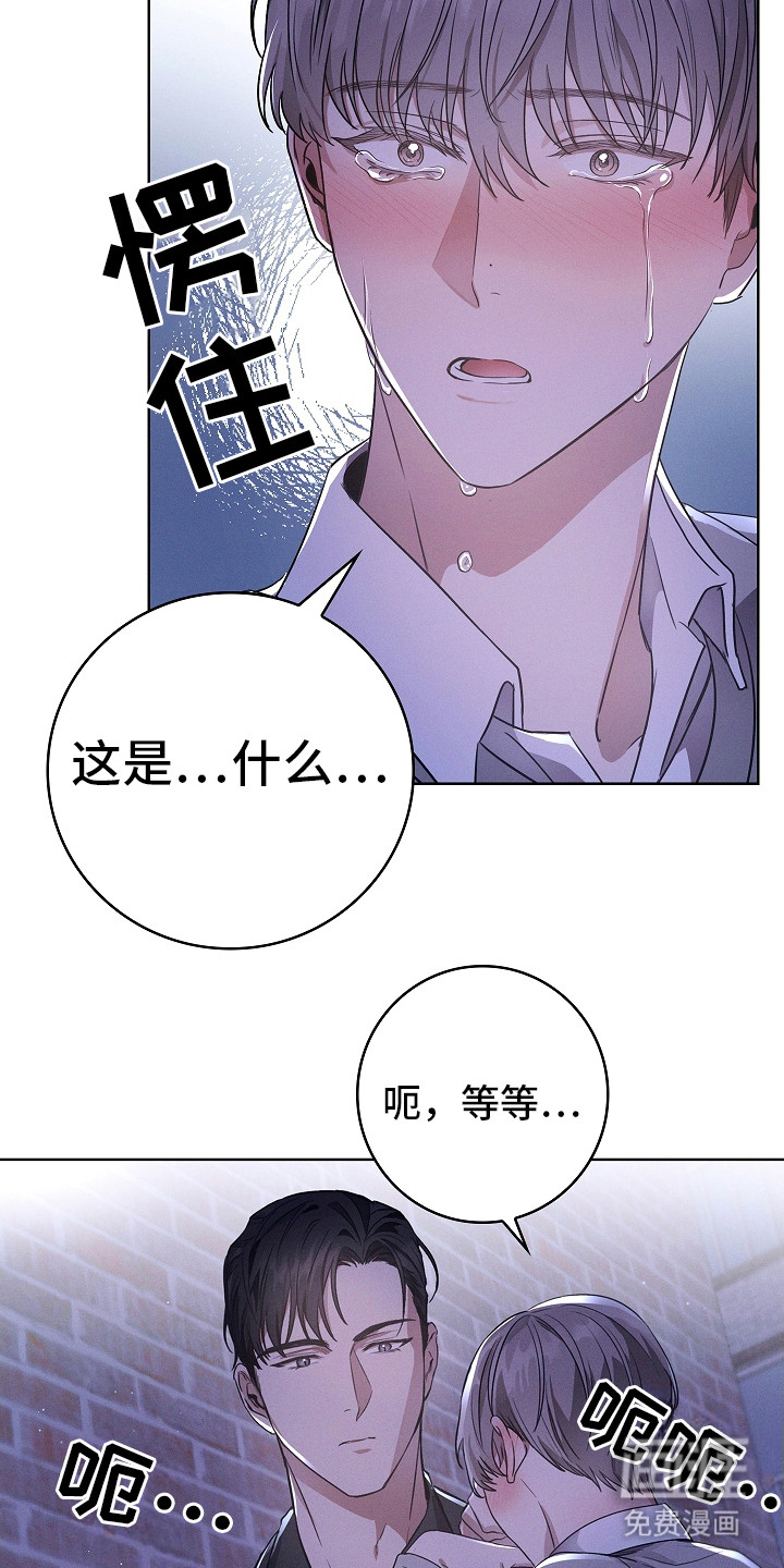 我的太子妃第9话图