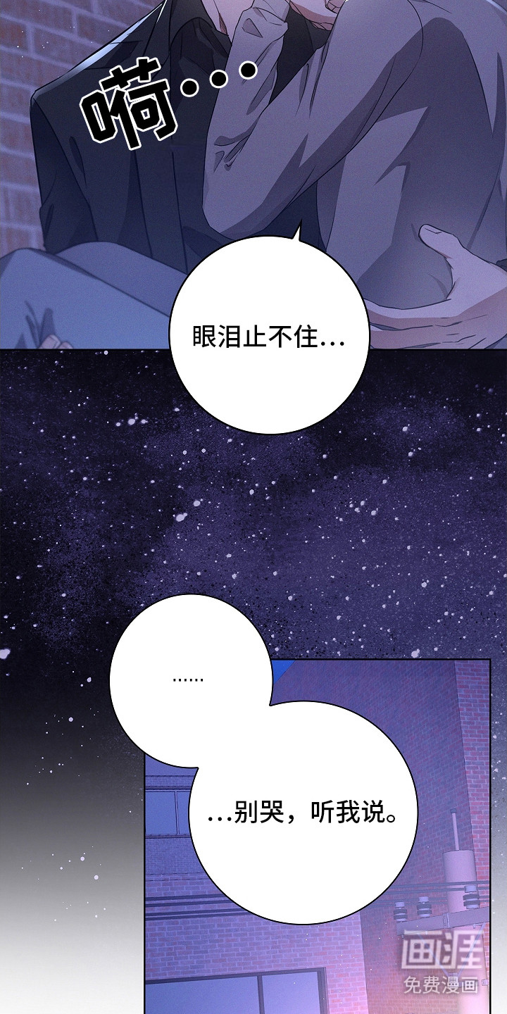 我的太子妃第9话图