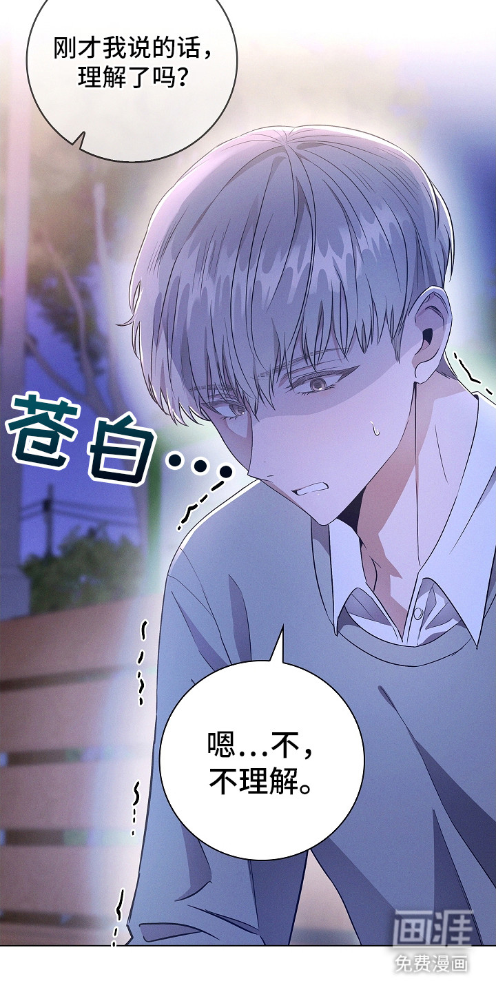 我的太子妃第9话图