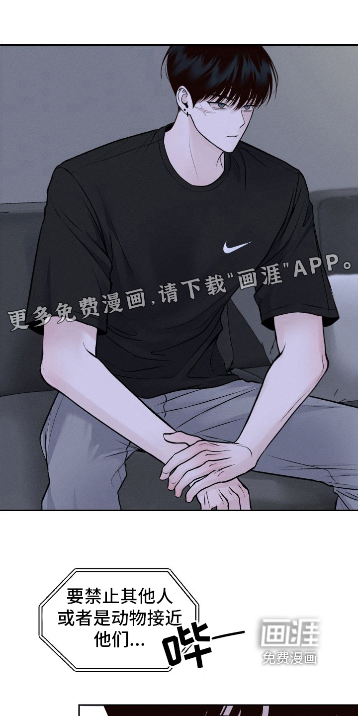 我的救世主第8话图