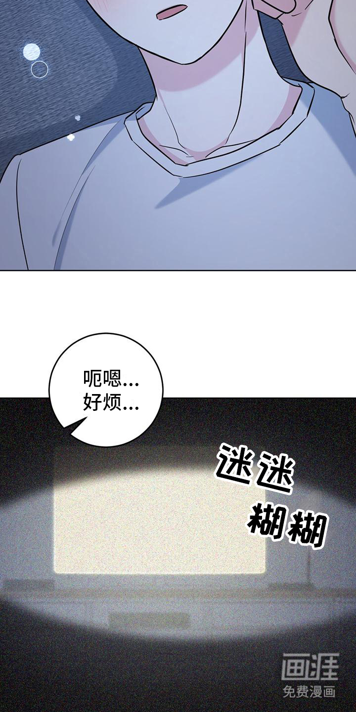 温情之森第15话图