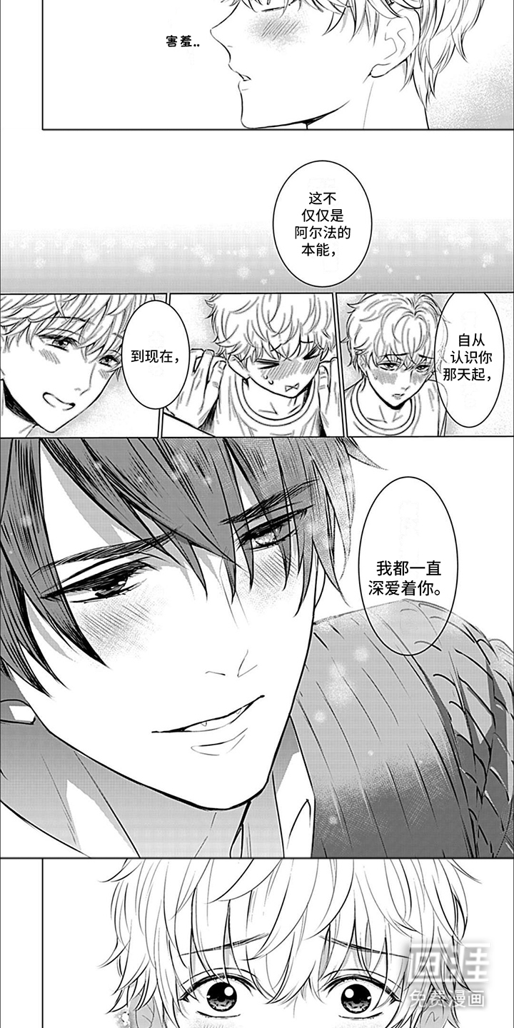 完美适配第13话图