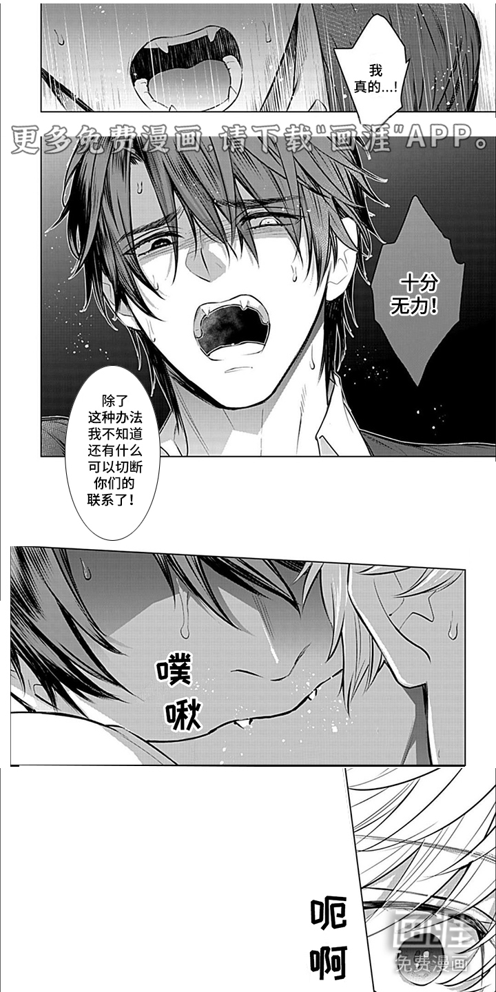 完美适配第14话图