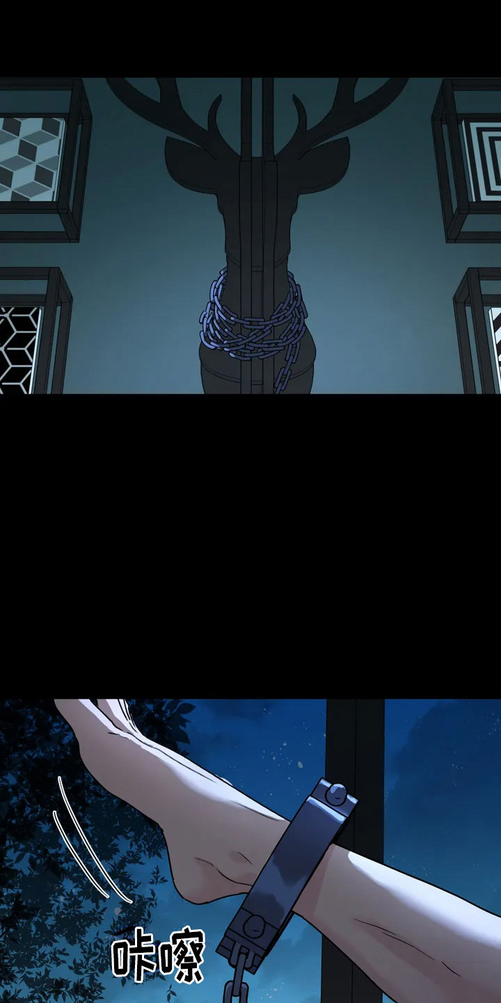 无根之树第1话图