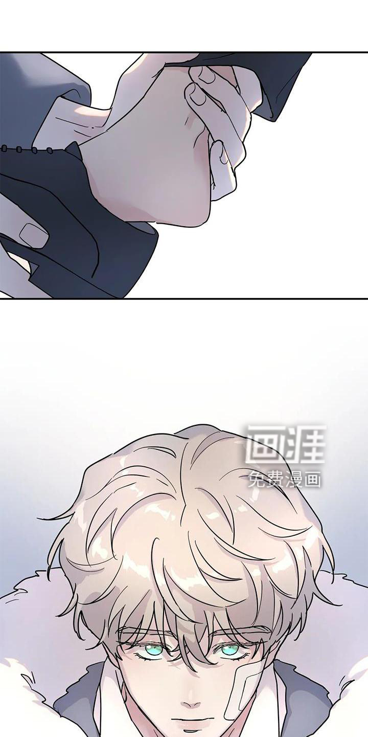 无根之树第28话图