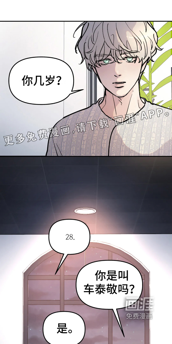 无根之树第5话图