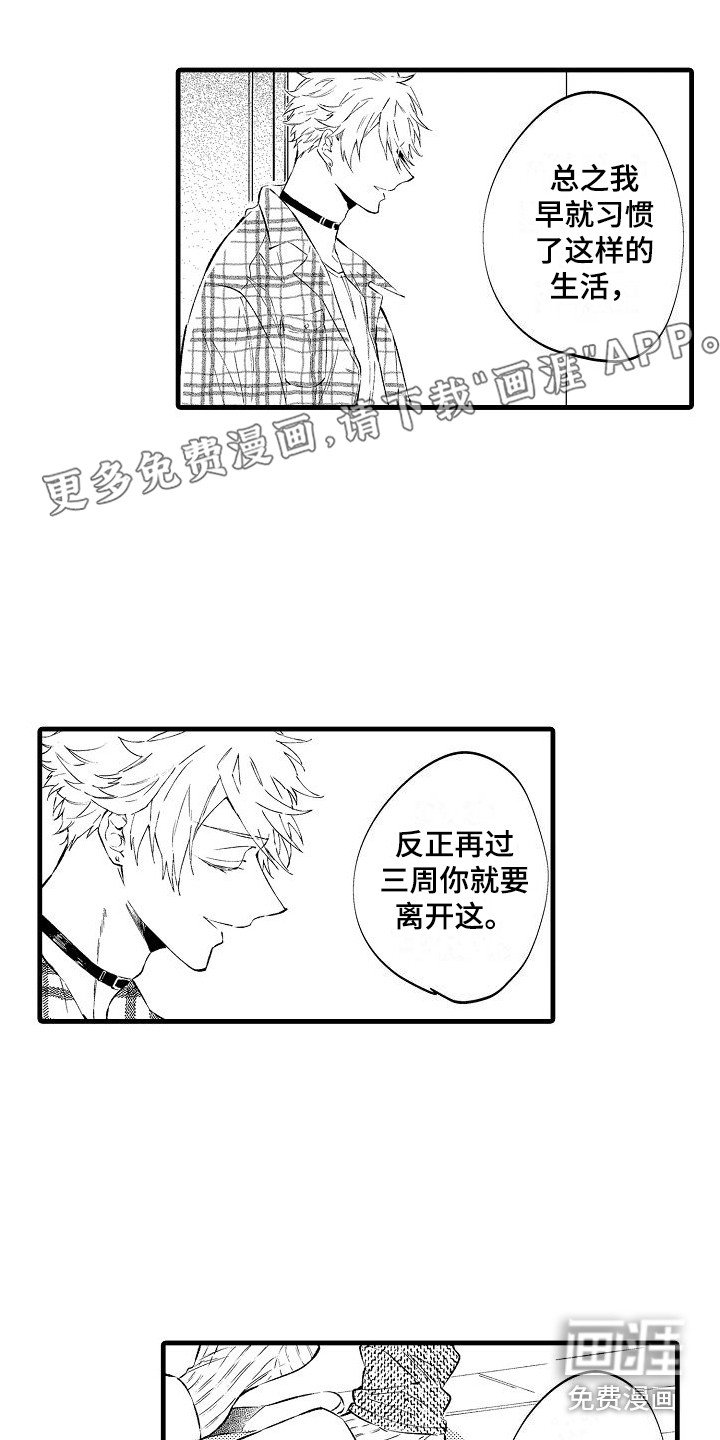 我们离婚吧第4话图